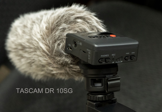 TASCAM DR 10SG マイクを改良: Weekend Blogger kobys