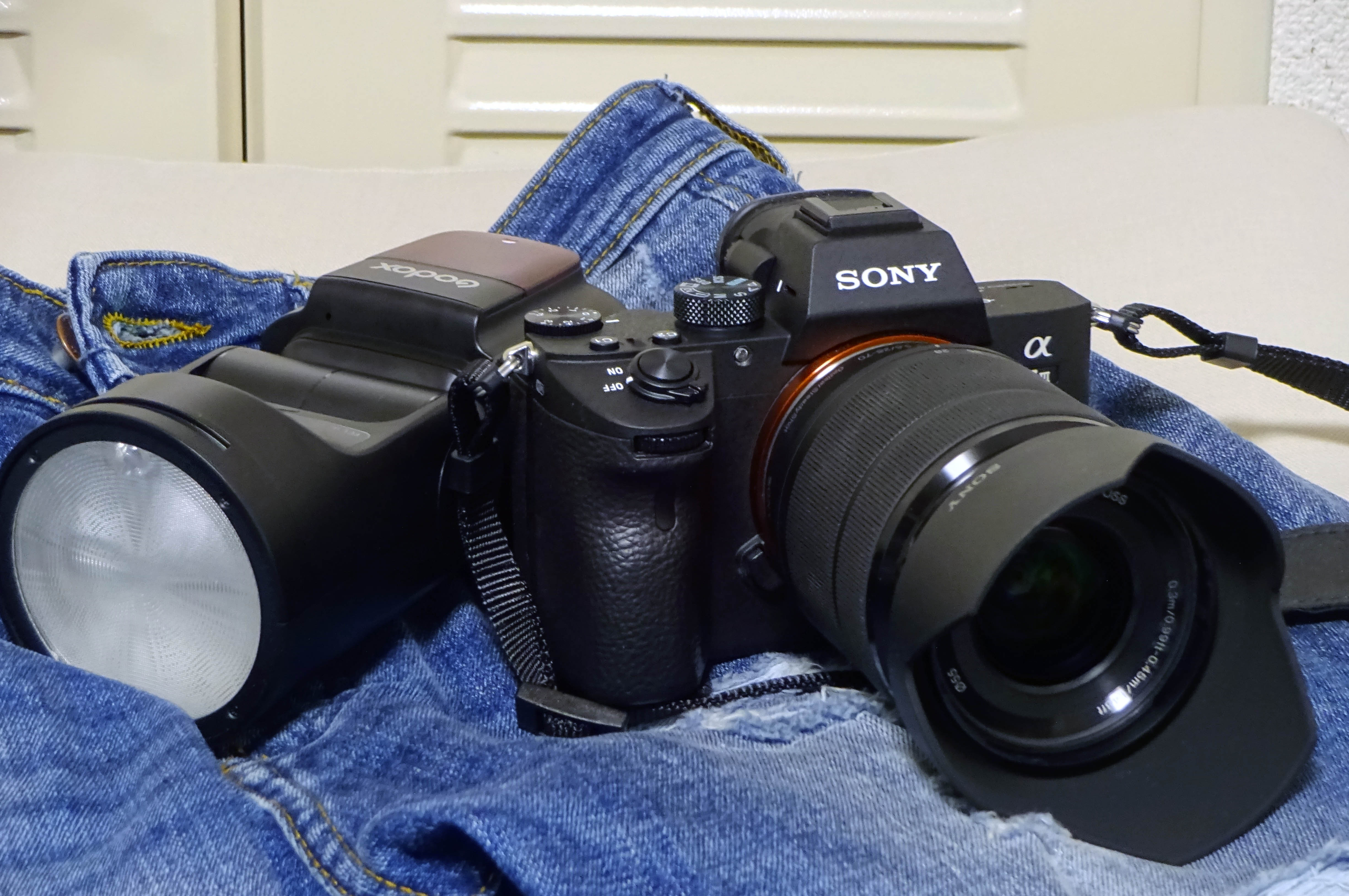 ワンちゃん撮りにSONY α7Ⅲを買いました。: Weekend Blogger kobys